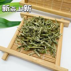 2026 保靖黄金茶1号头采