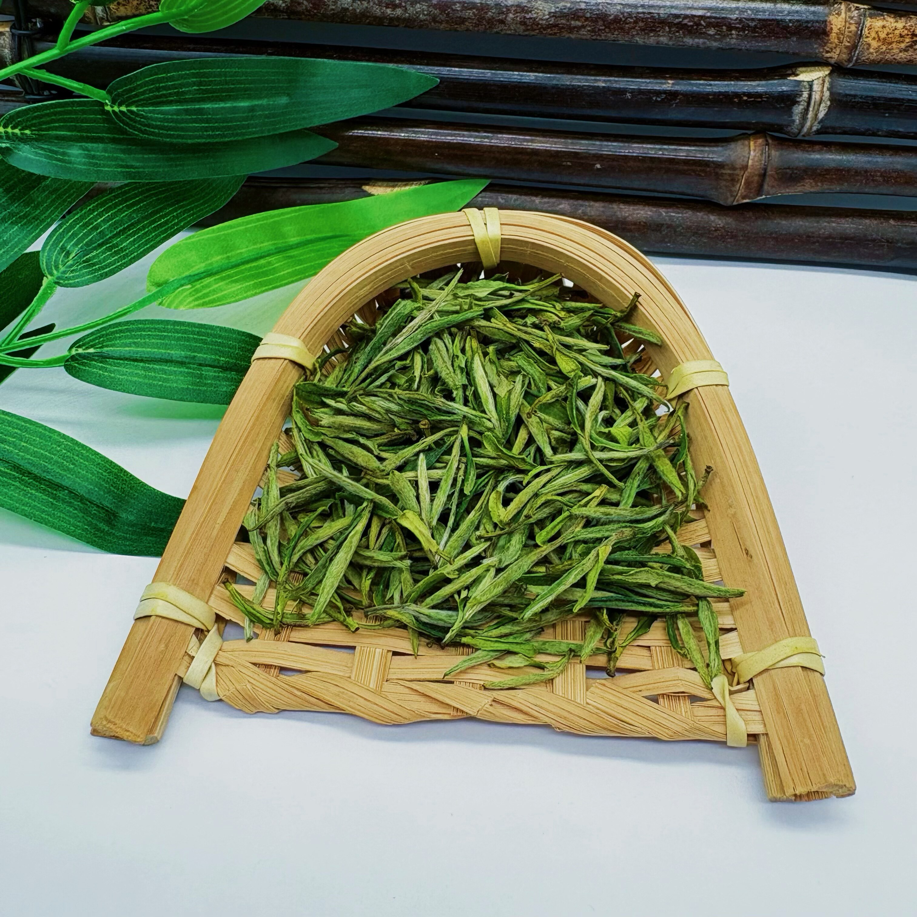 2026 霍山黄芽土茶种 头采