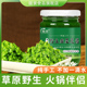 陇黄内蒙古野生韭菜花韭花酱新鲜大颗粒家庭下饭菜涮羊肉火锅蘸料