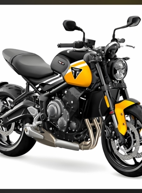 Triumph2023凯旋三叉戟Trident660维修手册全车扭矩保养线路图DIY