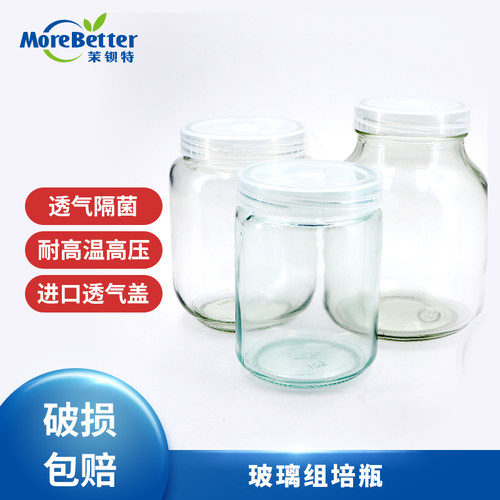 茉钡特生物玻璃组培瓶透气耐高温