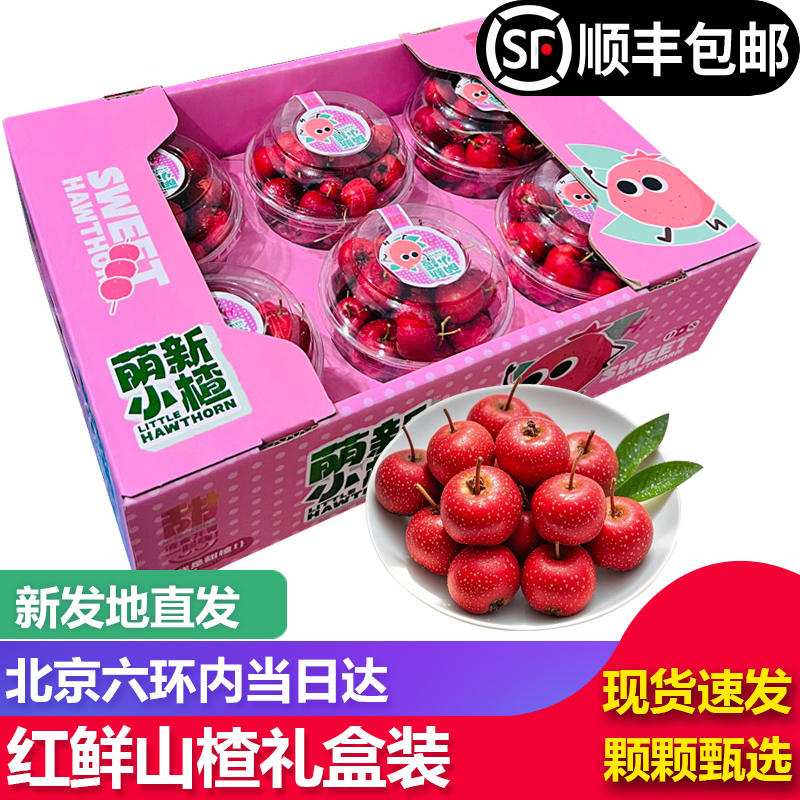 【顺丰包邮】红甜子山楂新鲜小红丸糖葫芦当季水果酸甜山楂果当季