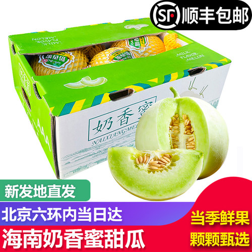 海南奶香蜜瓜玉菇香瓜甜瓜