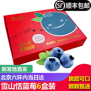 【顺丰包邮】雪山恬蓝莓云南雪山蓝莓新鲜水果孕妇水果6盒礼盒装