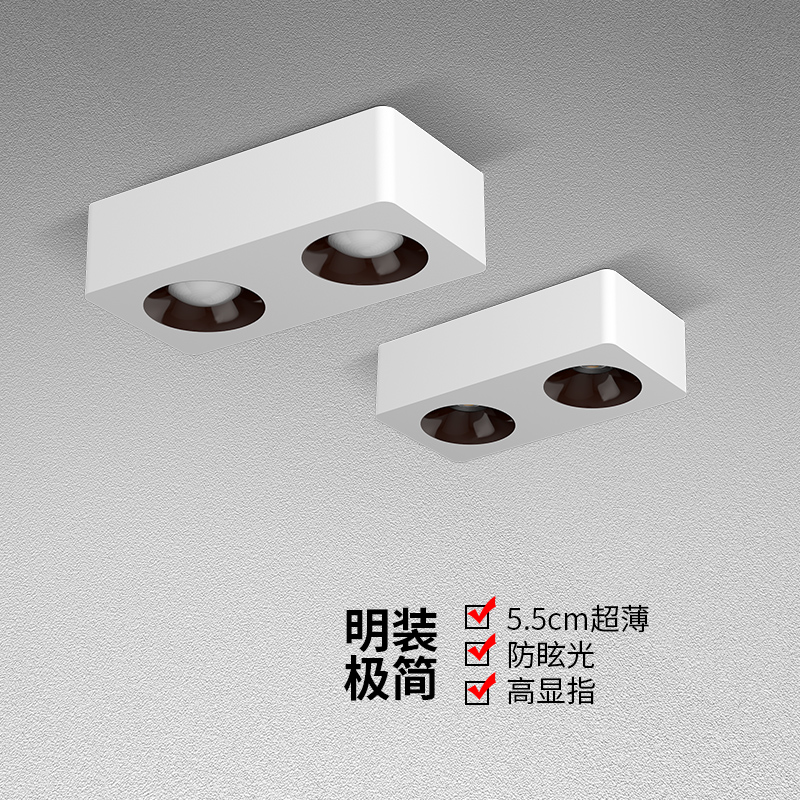 极简超博明装筒灯吸顶式