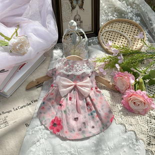 AW原创宠物服装热情洋溢花色烫钻闪亮聚餐夏季野餐猫咪狗狗马尔泰