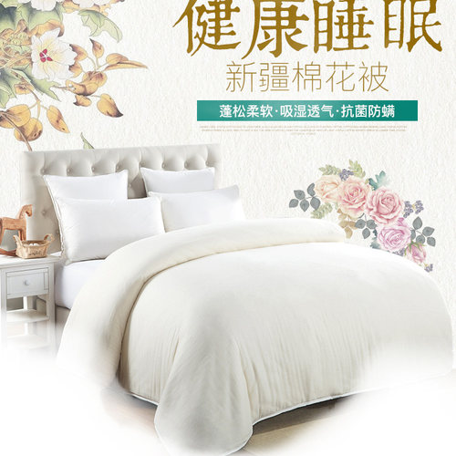 【阿依图娜】新疆棉花优质长绒棉带纱网棉被内胆