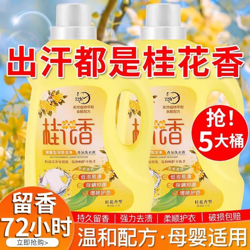 桂花洗衣液除菌持久留香72