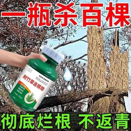 【除竹灭大树】枯死开荒烂根