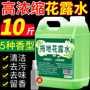 除异味高浓缩地板瓷砖清洁液持久留香宾馆家庭装 拖地花露水大桶装