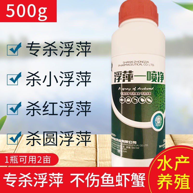 杀浮萍药一喷灵莲藕塘鱼虾蟹塘稻田景观池杀红浮萍圆叶浮萍小浮萍