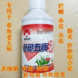 草鱼五病清五病灵鲢鲫草鱼鳗桂花鱼出血病烂鳃赤皮烂尾特效鱼药