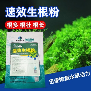 强力生根王吲哚生根粉草力壮护草生根壮根稳根伊乐藻苦草轮叶黑藻