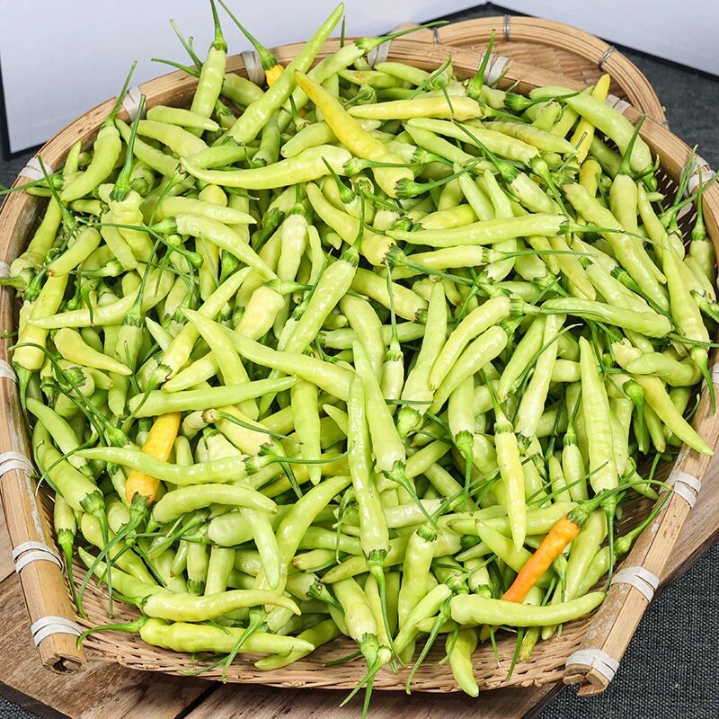 新鲜现摘云南保山小米辣椒