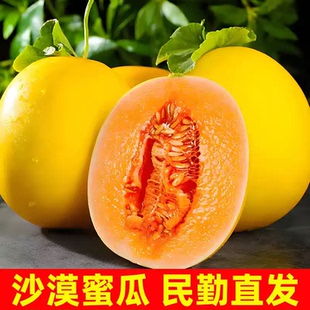甘肃民勤蜜瓜武威沙漠黄河哈密瓜脆甜爽口新鲜水果甜瓜黄金红金宝