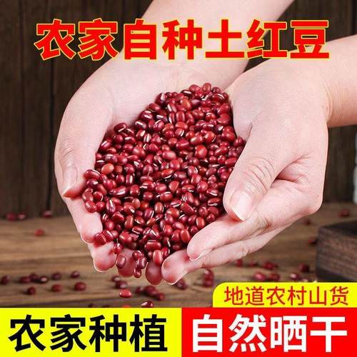 【特惠5斤】红小豆新鲜当季红小豆农家自种红小豆正宗当季红豆