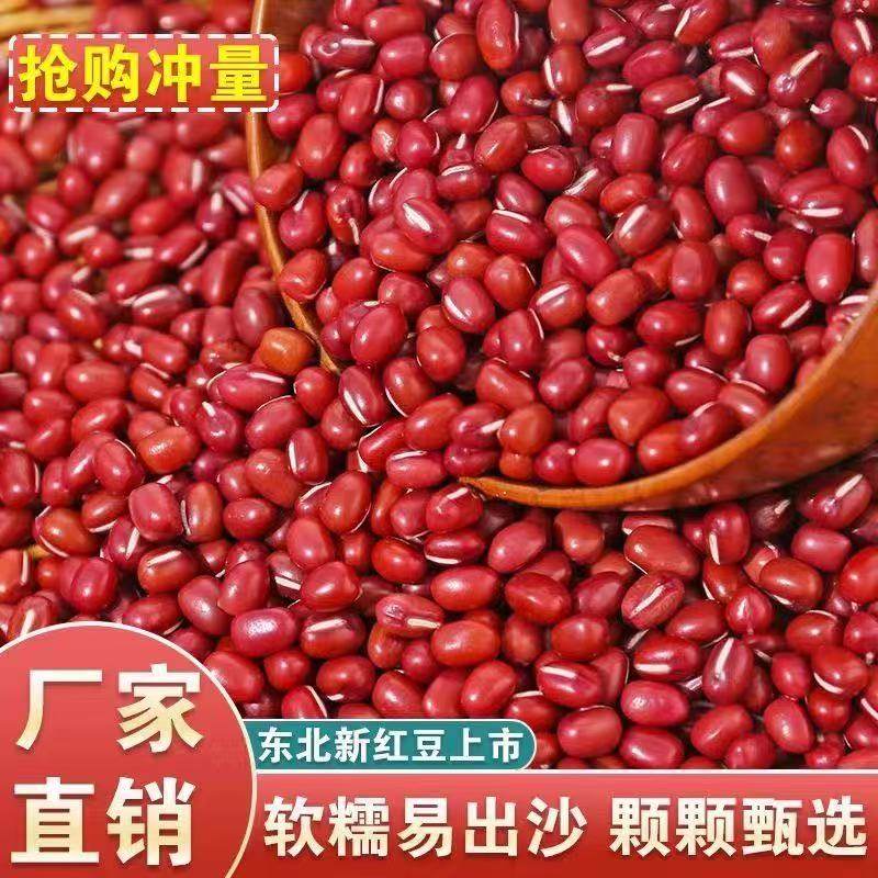 【25新货】红豆批发农家红小豆易煮出沙豆馅豆浆五谷杂粮粗粮批发