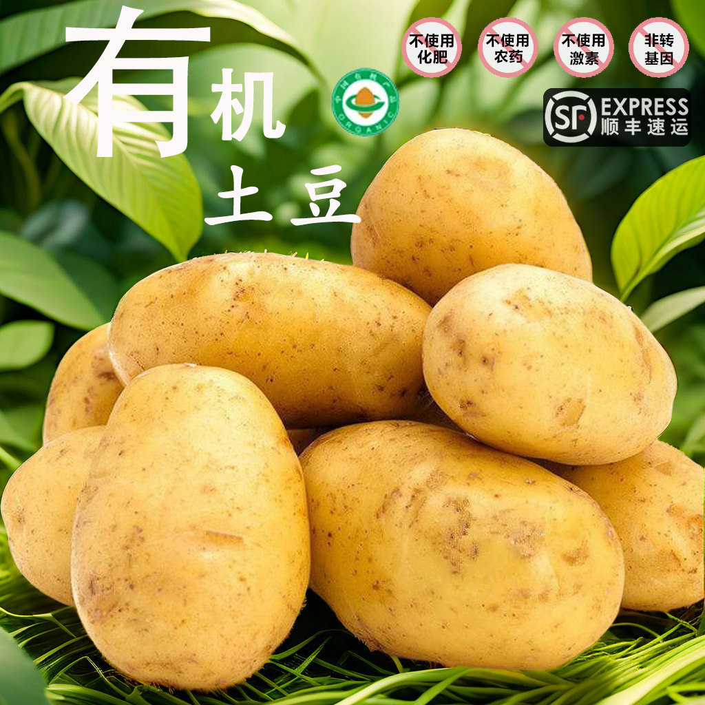 良道有机黄皮土豆新鲜现挖云南高原高山黄心洋芋马铃薯粉糯软红