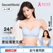 Secret World内衣女夏薄款 小胸聚拢无痕透气粉底液细肩带文胸胸罩