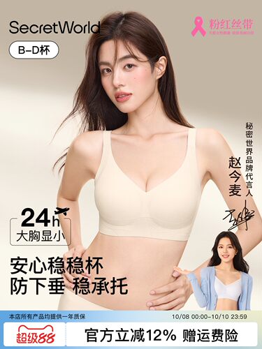 Secret World内衣女胸大显小收副乳防下垂无痕提拉粉底液文胸罩