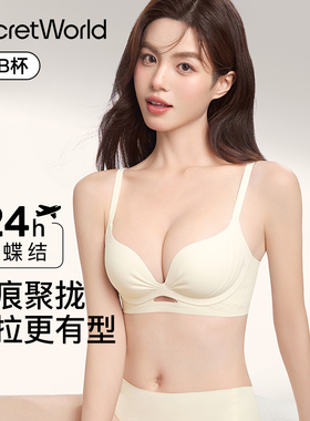 Secret World内衣女聚拢小胸显大收副乳防下垂无痕文胸罩夏季薄款