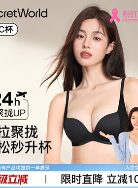 Secret World内衣女聚拢小胸显大收副乳防下垂2025新款爆款文胸罩