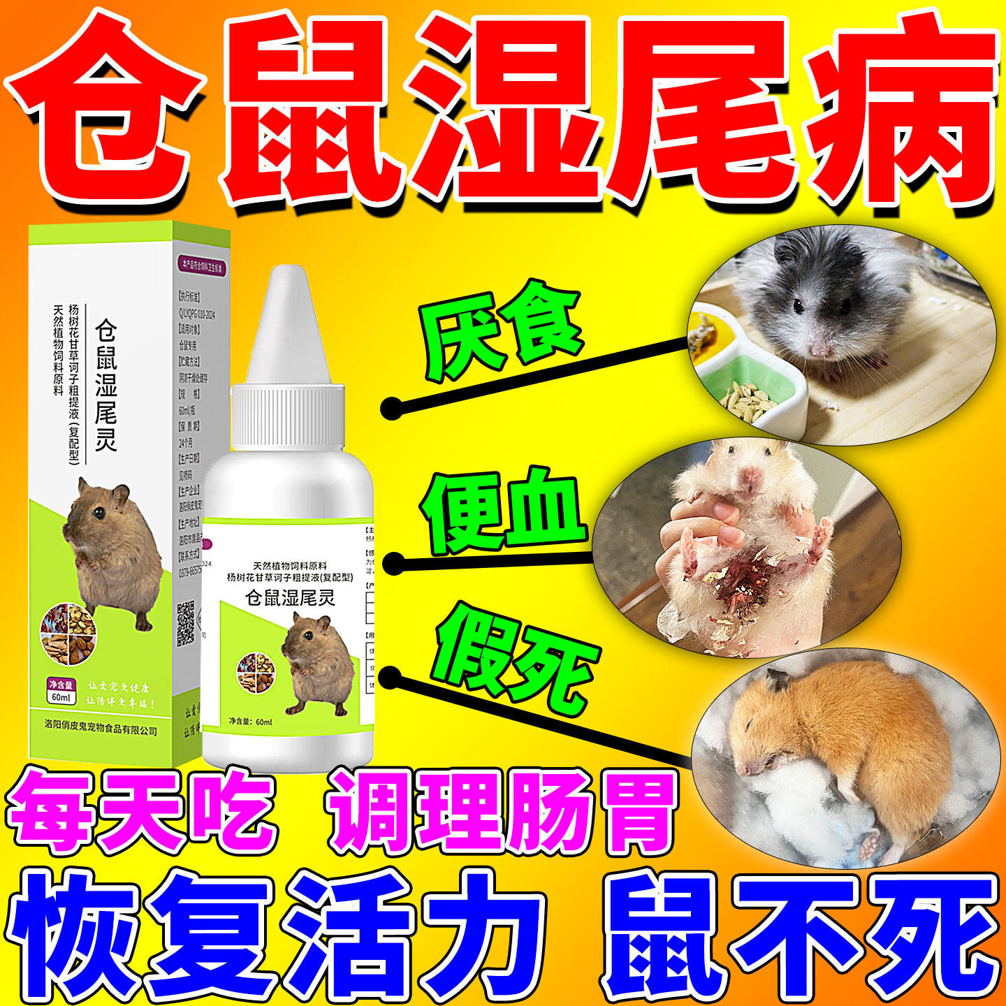 仓鼠湿尾灵金丝熊拉肚子胀气感冒专用软便水便调理肠胃的用品