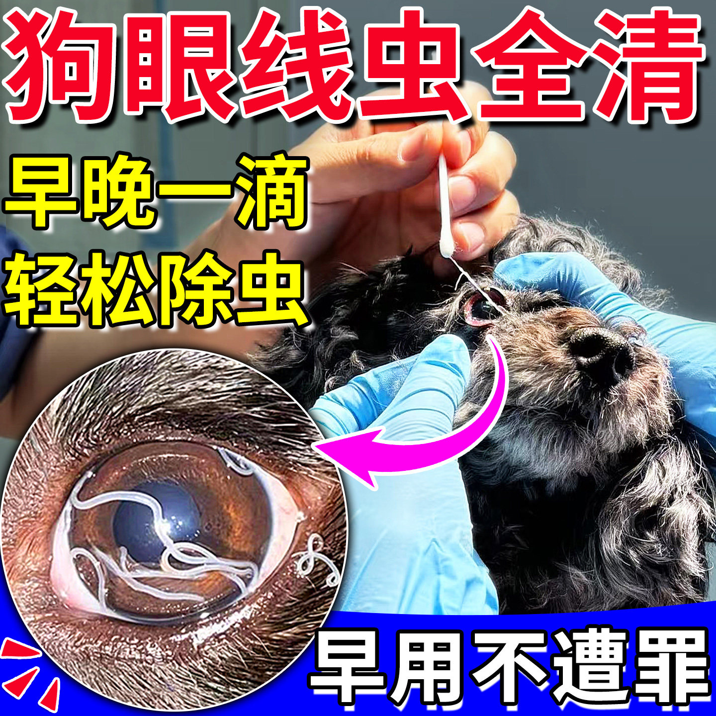 狗狗眼线虫眼药水眼睛驱虫发炎红肿滴液猫咪结膜炎眼屎多发红流脓图片