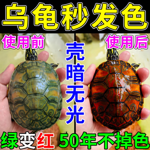 吃1次50年不掉色】乌龟发色饲料