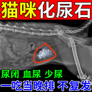 猫咪化结石药尿道膀胱结石结晶尿频尿痛血尿少排尿困难尿闭利尿通