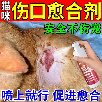 猫咪伤口愈合剂促进长肉