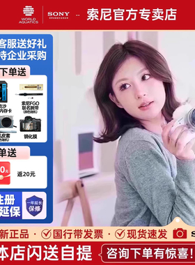 【24期免息】索尼ZV-E10微单相机学生入门级高清美颜照相机zve10L