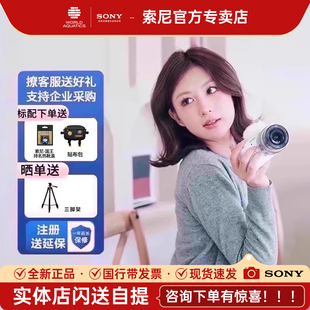 E10微单相机学生入门级高清美颜照相机zve10L 索尼ZV 24期免息