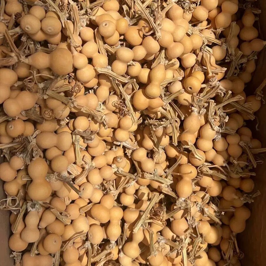 天然草里金葫芦手捻文玩小葫芦手把小葫芦手把件2.5-3.5厘米绕指