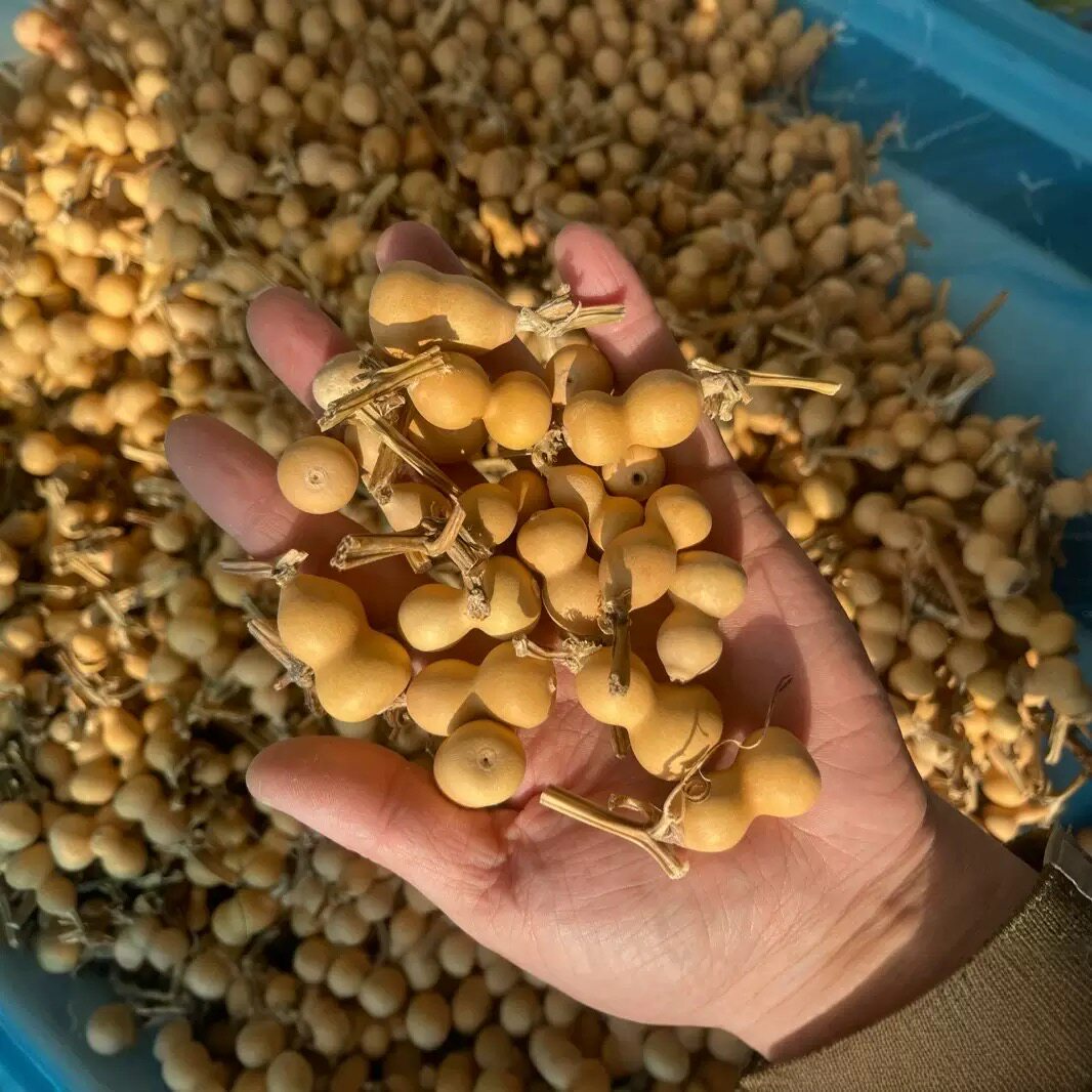 纯天然草里金葫芦手捻文玩把玩手把件小尺寸迷你草里金小葫芦挂件