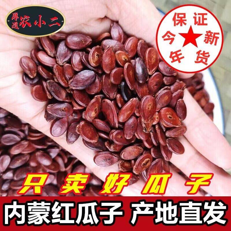 内蒙古红西瓜子500g袋装带壳蒸汽五香味熟瓜子坚果休闲唠嗑零食品