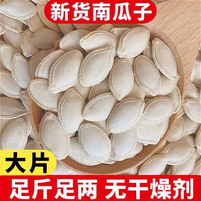 精选大片纸皮生南瓜子坚果零食品