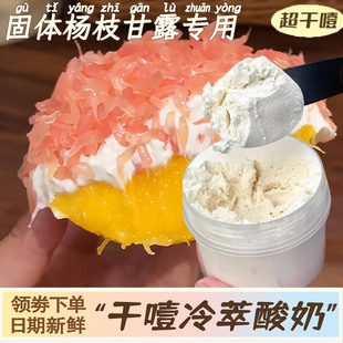 固体杨枝甘露专用干噎酸奶】冷萃希腊干巴酸奶diy甜品小吃家商用