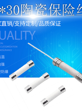 20A30A40A50A慢断型陶瓷保险管 6*32防爆保险丝 WB27X10388保险丝