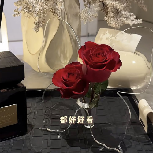 蝴蝶新家花瓶亚克力透明家居装饰摆件客厅高级感简约水培情绪花瓶