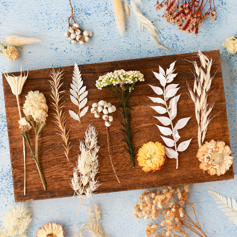 白色系列永生干花天然植物树叶