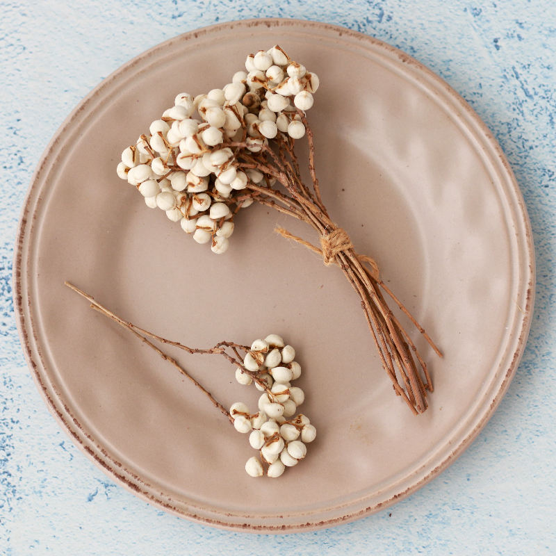 馥蕾 小白果乌桕果圣诞干果diy香薰蜡片相框制作手工天然植物干花