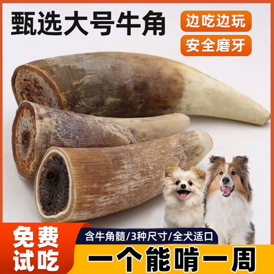 狗狗风干牛角磨牙零食宠物牛角髓