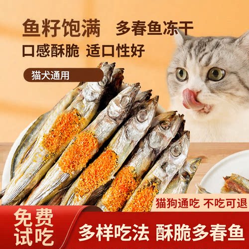 猫冻干零食猫咪多春鱼冻干