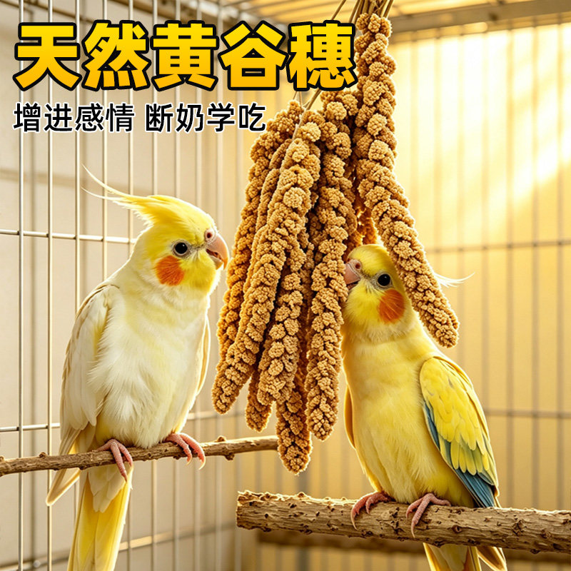 鹦鹉黄谷穗小米小太阳虎皮玄凤牡丹美羽鸽鸟饲料仓鼠粮食玩具用品