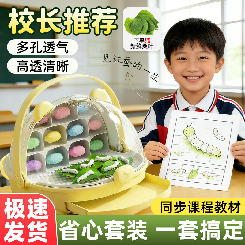学生养蚕套装蚕卵幼虫饲养箱桑叶