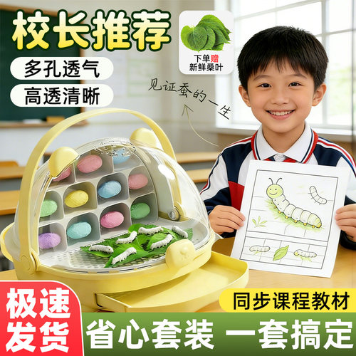 学生养蚕套装蚕卵幼虫饲养箱桑叶