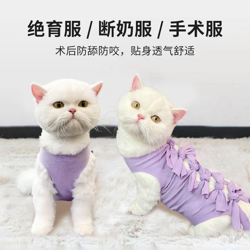 猫咪绝育服母猫宠物手术服防掉毛