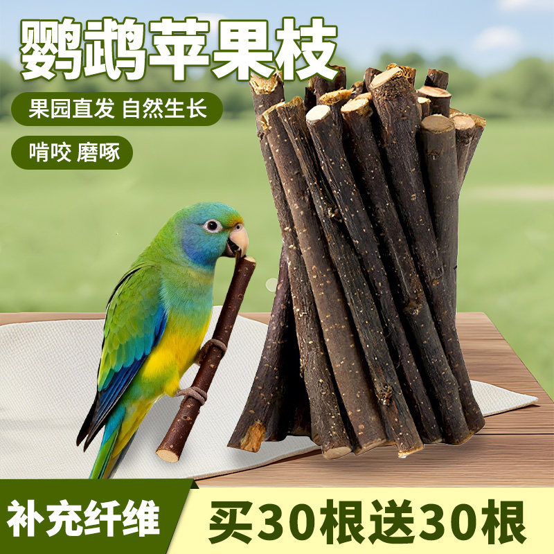 鹦鹉苹果枝木专用磨牙棒玄凤小太阳啃咬小鸟玩具解闷自嗨用品大全,宠物/宠物食品及用品,鸟禽其他,淘宝优惠券,粉丝福利购,淘宝优惠卷