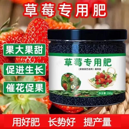 草莓肥料盆栽有机肥料植物营养
